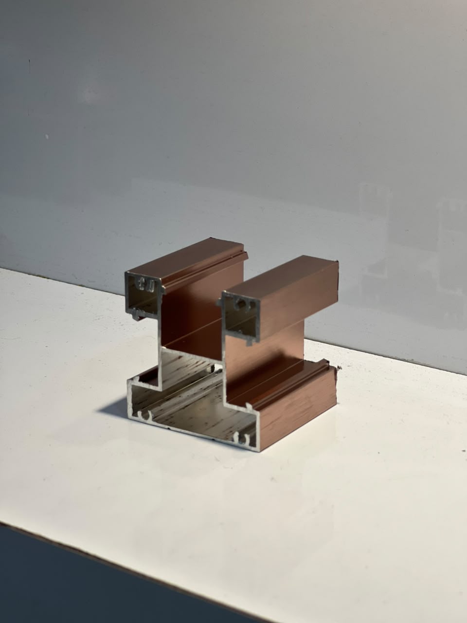 Project Gallery Image